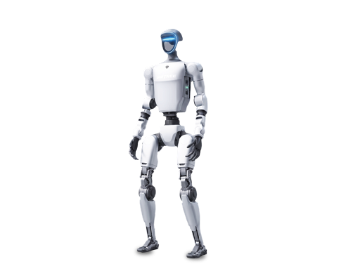 Humanoids